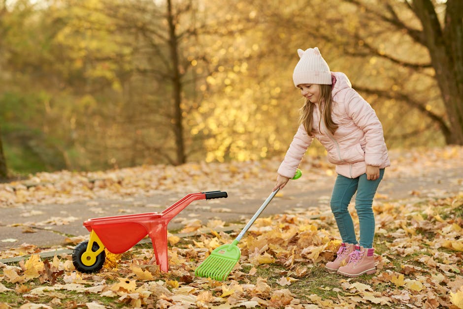 Young girl raking leaves in a park with a toy wheelbarrow, enjoying a sunny autumn day.