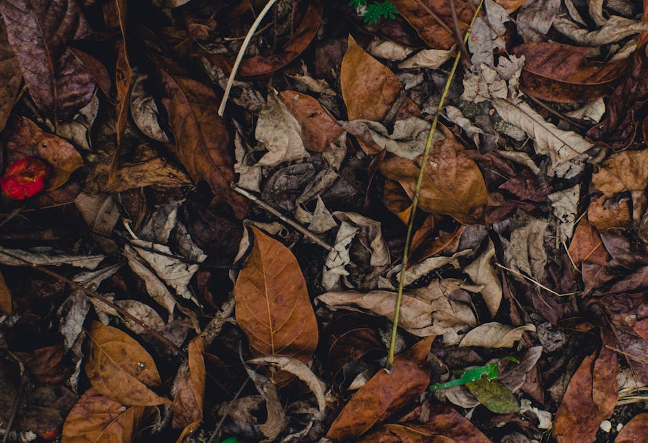A detailed close-up of dry, fallen autumn leaves creating a textured natural pattern.