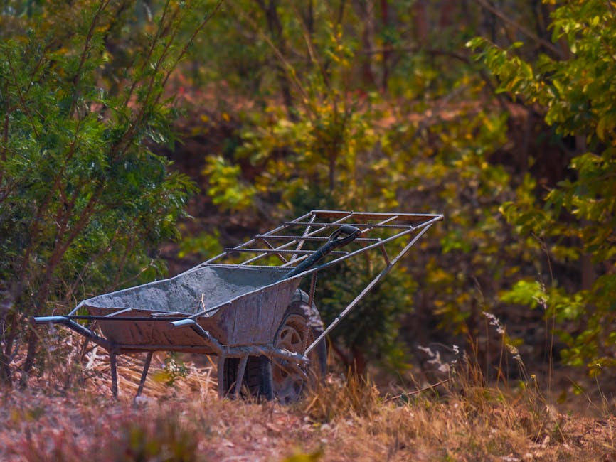 Old wheelbarrow in an autumn forest setting, capturing a rustic and nostalgic scene.